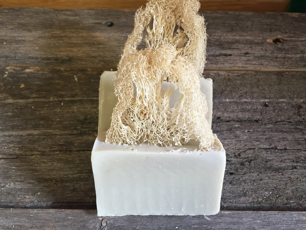 The Scrubbed Earth Soap (Loofah)